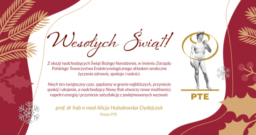 Wesołych Świąt i Szczęśliwego 2025 Roku