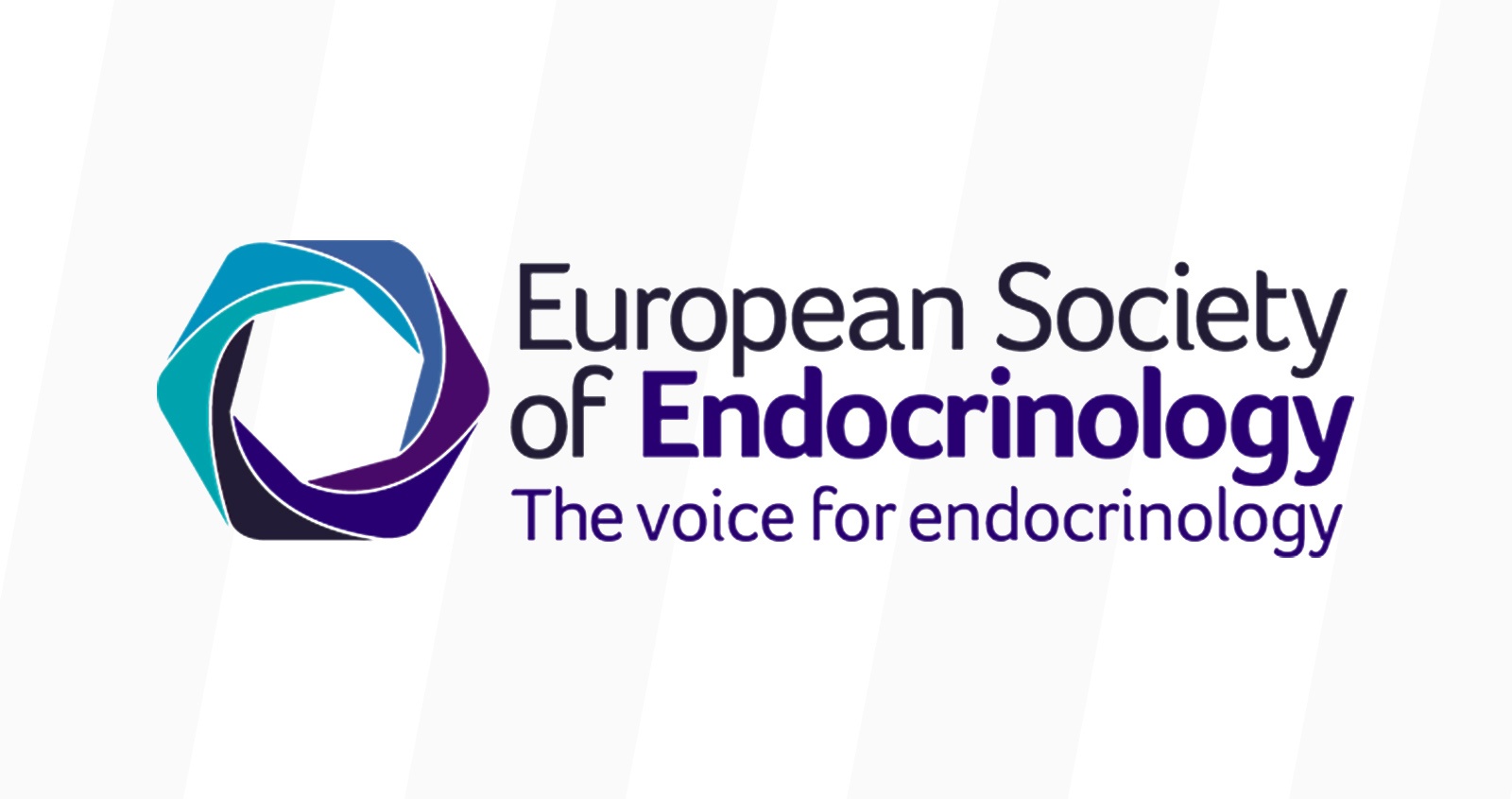 European society. European Congress of Radiology 2024.